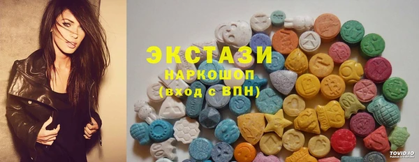 ECSTASY Богданович